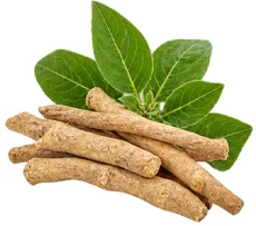 Ashwagandha — Hard King ingredient
